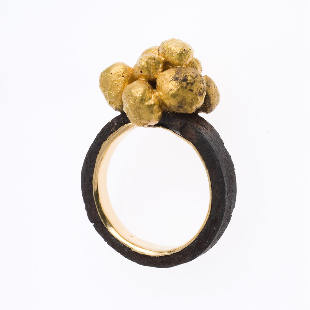 Stefano Zanini ring made of iron and gold